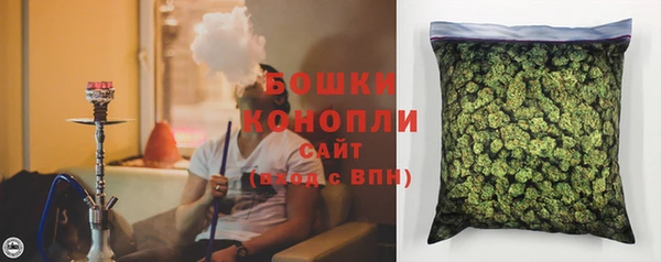 шишки Белокуриха