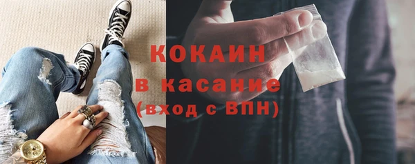 шишки Белокуриха