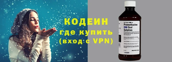 шишки Белокуриха