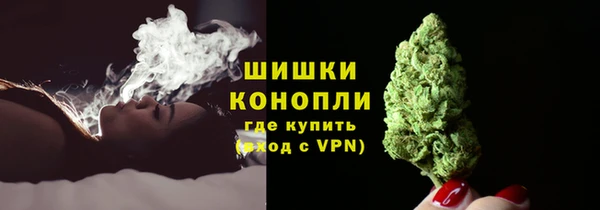 шишки Белокуриха