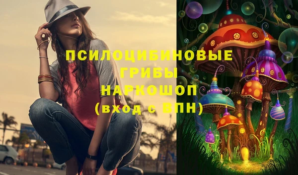 шишки Белокуриха