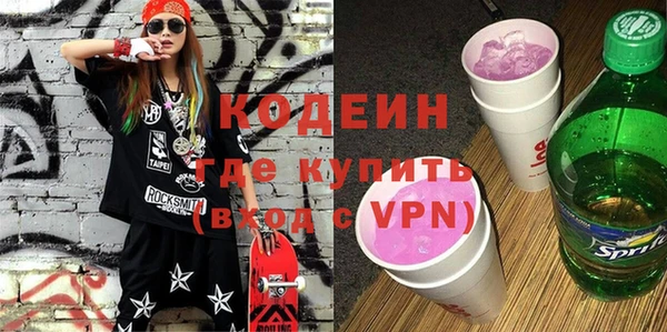 шишки Белокуриха