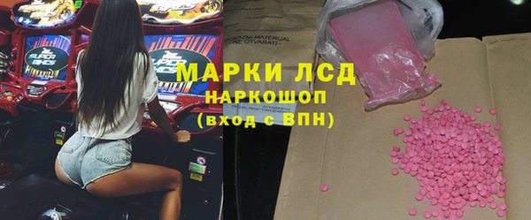 шишки Белокуриха