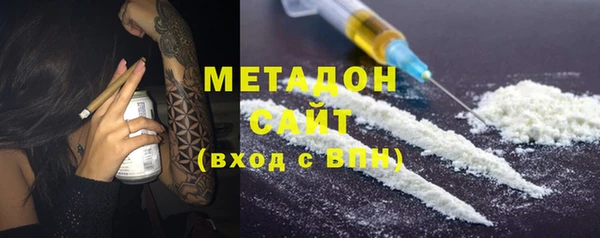шишки Белокуриха