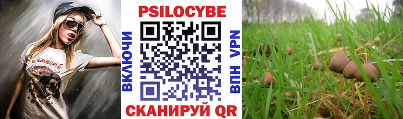 Псилоцибиновые грибы прущие грибы  где продают наркотики  Воркута 